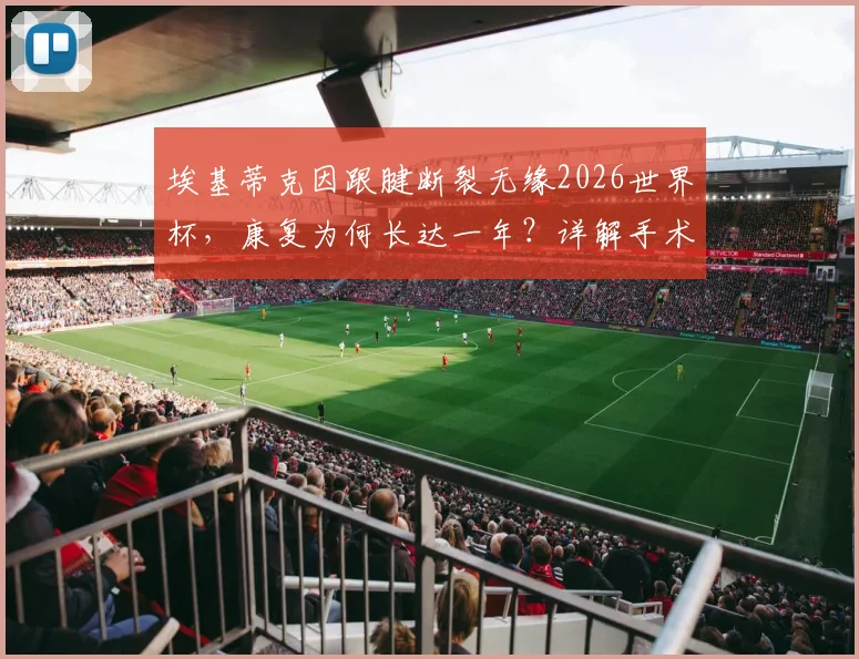 埃基蒂克因跟腱断裂无缘2026世界杯，康复为何长达一年？详解手术到重返赛场的全过程