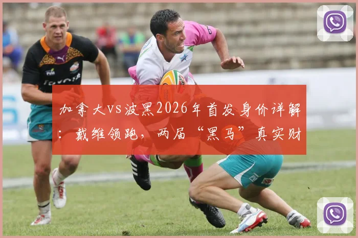 加拿大vs波黑2026年首发身价详解：戴维领跑，两届“黑马”真实财力几何
