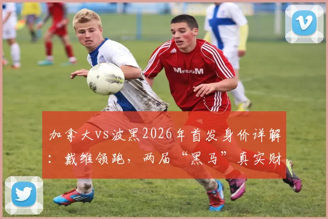 加拿大vs波黑2026年首发身价详解：戴维领跑，两届“黑马”真实财力几何