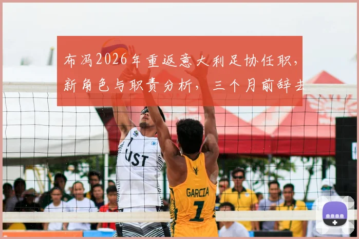 布冯2026年重返意大利足协任职，新角色与职责分析，三个月前辞去领队原因揭秘