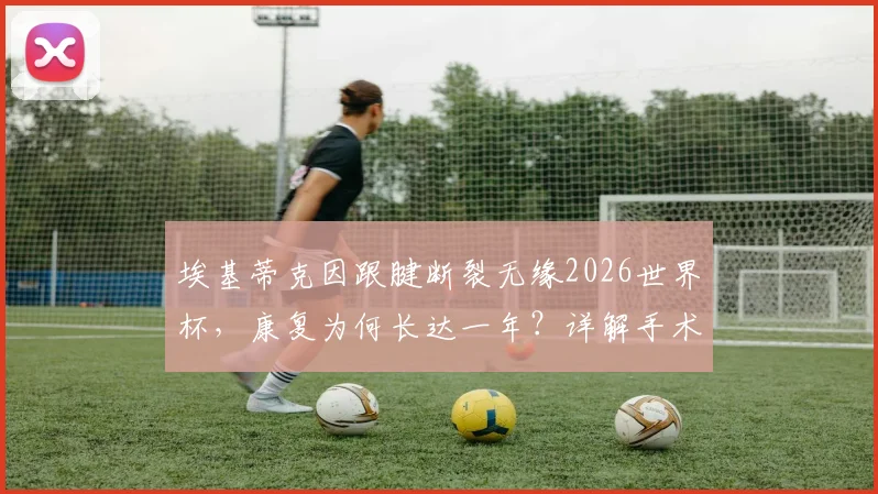 埃基蒂克因跟腱断裂无缘2026世界杯,康复为何长达一年?详解手术到重返赛场的全过程